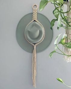 a hat hanging on the wall next to a potted plant with a tassel