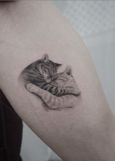 a black and white photo of a cat sleeping on someone's arm