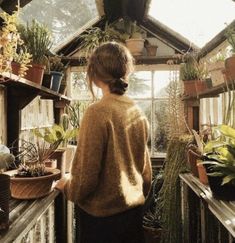 a woman standing in a greenhouse looking at potted plants and other houseplants