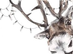 a drawing of a deer with antlers on it's head and eyes looking at the camera