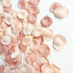 pink and white petals scattered on top of each other