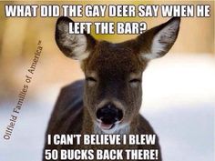 a deer that is standing in the snow with its mouth open and tongue out, saying what did the gay deer say when he left the bar? i can't believe i blew 50 bucks back there