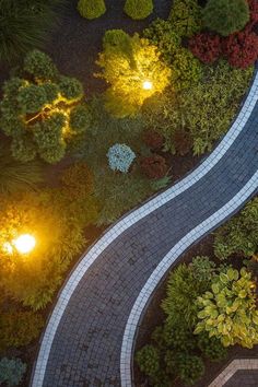 an aerial view of two roads in the middle of a garden with lights on each side