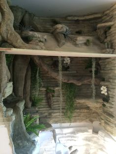 an indoor garden with rocks and plants on the shelves in front of it, along with fake trees