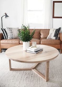 a living room with a couch, coffee table and potted plant in the corner