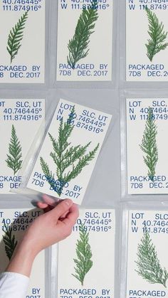 a person is holding up some cards with plants on them