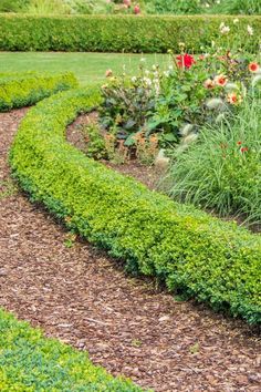 a garden filled with lots of different types of flowers