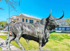 a statue of a bull in front of a building