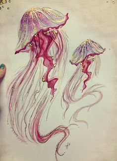 a drawing of two jellyfishs in pink and purple