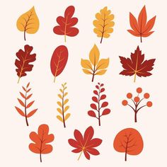 an assortment of autumn leaves on a white background