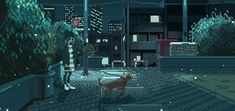 a dog is standing in the middle of a city at night