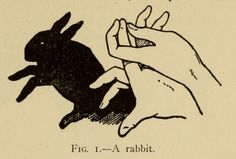 a drawing of two hands holding a rabbit