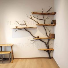 an empty room with wooden shelves and tree branches on the wall, in front of a small table