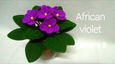 a crocheted vase with purple flowers in it and the words african violet written below