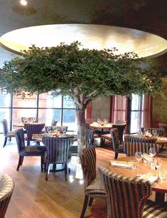 a tree is growing in the middle of a restaurant's dining room table set with place settings