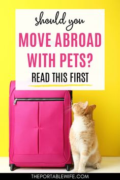 a cat sitting next to a pink suitcase with the words should you move aboard with pets? read this first