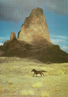 a horse is running through the desert with a mountain in the background