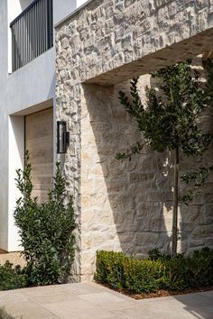 an outside view of a building with trees and bushes