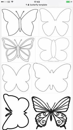 the paper butterfly templates are cut out and ready to be used