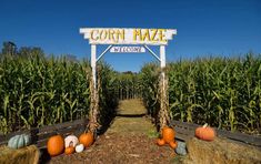 corn maze welcome sign surrounded by hay bales and pumpkins on the side walk