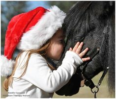 Pictures With Horses, Christmas Horses, Mini Horse, Miniature Horse, Christmas Photoshoot, Horse Photography, Horse Pictures, Horse Love, Horse Girl