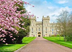 an image of a castle with flowers in the foreground