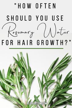 How Often Should You Use Rosemary Water on your Hair? - ♡ July Blossom ♡ Rosemary Hair Rinse, Herbs For Hair Growth, Rosemary Hair Growth, Rosemary Hair, Herbs For Hair