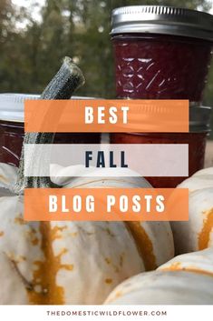 pumpkins and jars with the words best fall blog posts