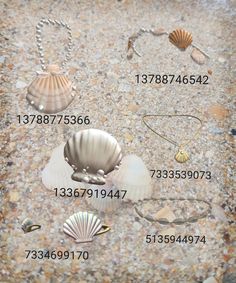 seashells are arranged on the ground with numbers in front of them to indicate their exact location