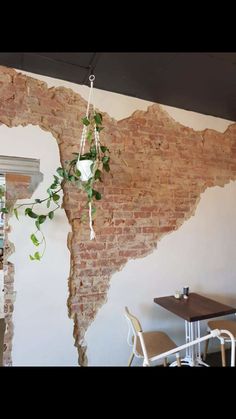 an old brick wall with vines hanging from it's sides in a restaurant setting