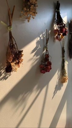 dried flowers hanging on the wall in front of a white wall with shadows from it