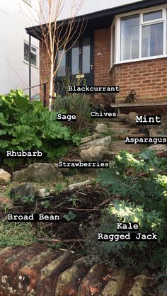 the names of different types of plants in front of a house with steps leading up to it