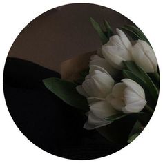 a bouquet of white tulips sitting on top of a table