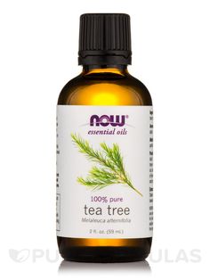 Aroma: Potent, warm, spicy | Attributes: Cleansing, purifying, renewing | Extraction Method: Steam Distilled from leaves and twigs Essential Oil Books, Australian Tea Tree Oil, Now Essential Oils, Australian Tea Tree, Grapefruit Oil, Melaleuca Alternifolia, Now Foods, Tea Tree Essential Oil, Whole Foods Market