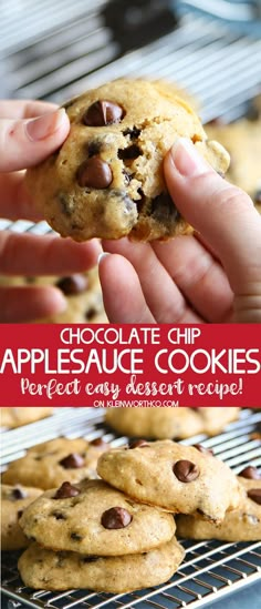 chocolate chip appleauce cookies are perfect for dessert or as an appetizer