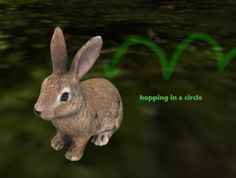 a rabbit sitting in the middle of a green background with words hopping in a circle