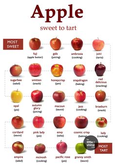 an apple chart with different types of apples