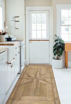 a kitchen with white cabinets and wood flooring next to a potted plant on the counter