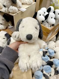 a person holding a stuffed dog in front of many other stuffed animals on display at a store