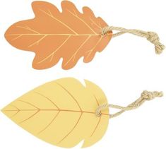 two autumn leaves tied together with twine