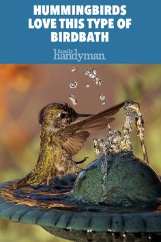 hummingbirds love this type of birdbath cover art for the handyman magazine