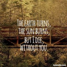 the earth turns, the sun burns, but i die without you