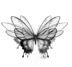 a black and white photo of a butterfly