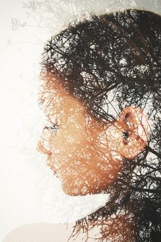 a woman's profile is shown through the branches of a tree in this artistic photo