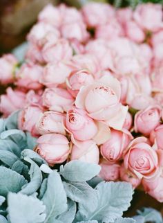 pink roses and green leaves in a vase