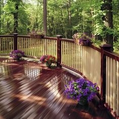 a wooden deck with purple flowers and potted plants on the top, surrounded by trees