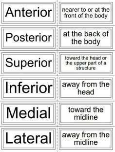 four different types of signs with the words in black and white, including one that says