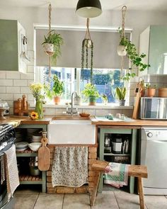 a kitchen filled with lots of potted plants next to a sink and stove top oven