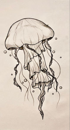 a drawing of a jellyfish in the water