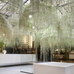 the inside of a building with glass walls and plants hanging from it's ceiling